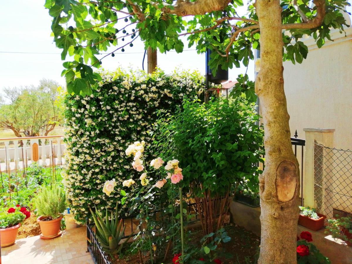 Apartments Brkovic ซูโกชัน ภายนอก รูปภาพ
